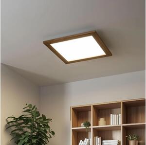 Eglo - LED RGB регулируем панел SALOBRENA-C LED/24W/230V кафяв + DO