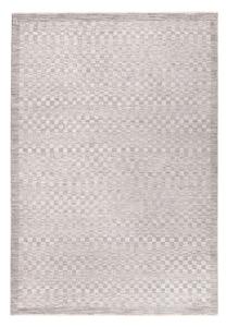 Сиво-бежов килим 160x240 cm Laurent Grey Silver – Asiatic Carpets