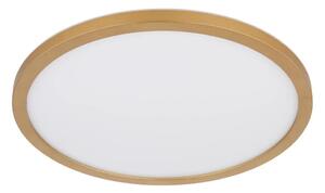 Globo 41562-18MM - LED Димируем плафон SAPANA LED/18W/230V IP44