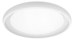 Top Light - LED Димируем плафон SALERNO LED/60W/230V 3000-6500K бял + д.у
