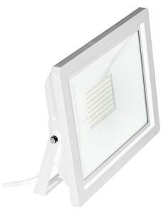 Eglo 64843 - LED Прожектор FILETTI LED/50W/230V 3000K IP65 бял