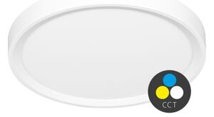 Ecolite W007-CCT/40W/BI - LED Плафониера SALY LED/40W/230V IP40 бял