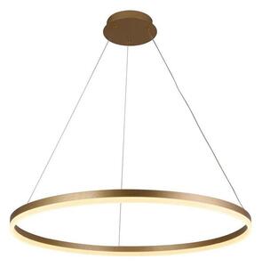 Brilagi - Димируем LED полилей на кабел CIRCLE LED/55W/230V 3000-6500K златист + дистанционно управление