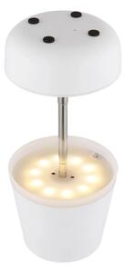 Globo 36638W - LED соларна лампа 10xLED/0,06W/3V IP44 бяла