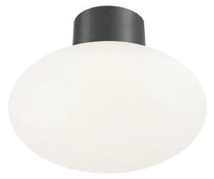 Ideal Lux - Външно таванно осветително тяло CLIO 1xE27/42W/230V IP44 антрацит