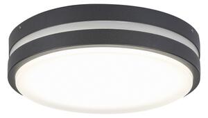 Rabalux 8847 - LED Екстериорна Стенна лампа HAMBURG LED/10W/230V IP44