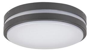 Rabalux 8847 - LED Екстериорна Стенна лампа HAMBURG LED/10W/230V IP44