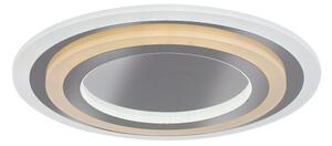Rabalux 71315 - LED димируемо таванно осветително тяло TANELI 56W/230V 3000/4000/6000K хром + ДУ