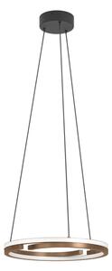 Eglo 901826 - Димируем LED полилей на кабел MEZZOMONTE 2xLED/20W/230V, бронз + дистанционно управление
