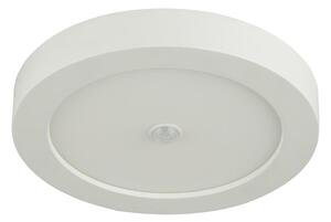GLOBO 41605-18S - LED Екстериорна лампа със сензор PAULA 1xLED/18W/230V