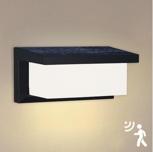 Brilagi - LED соларен стенен фенер с сензор BRICKY LED/5W/6V IP65