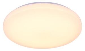 LED Димируем плафон с гласово управление OPAL LED/48W/230V + д.у