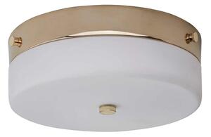 Elstead TAMAR-F-M-PG-LED Плафон за баня TAMAR 1xGX53/5,7W/230V IP44