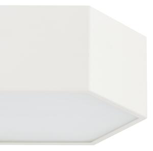 Argon 8781 - LED Плафониера LIBERO LED/12W/230V 3000K бял