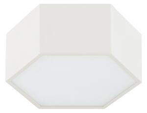 Argon 8781 - LED Плафониера LIBERO LED/12W/230V 3000K бял
