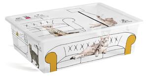Бяла пластмасова кутия за съхранение с капак 55x39x16 cm C Box Style – KIS