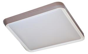 Rabalux 71166 - LED таванно осветително тяло DRUZOR LED/40W/230V 3000K