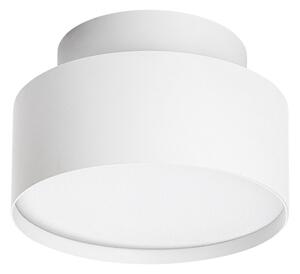 Rabalux 71325 - LED таванно осветително тяло OVIDIA LED/24W/230V 3000K бяло