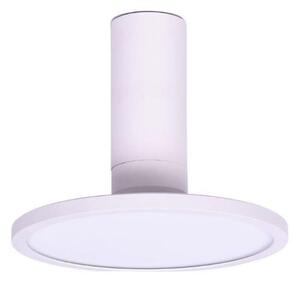 Rabalux 71328 - LED таванно осветително тяло OVIDIA LED/20W/230V 3000K бяло