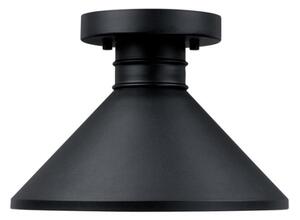 Westinghouse 61238 - Екстериорна лампа за таван WALTER 1xE27/60W/230V IP44