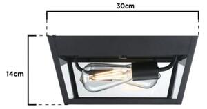Westinghouse 61219 - Екстериорна лампа за таван PETERSON 2xE27/40W/230V IP44