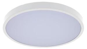 Rabalux 71427 - LED Плафон за баня ALENZO LED/24W/230V IP44 бял