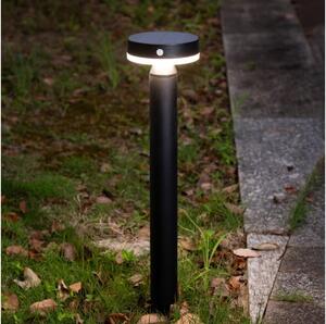 Zuma Line PT33613 - LED Соларна лампа CARLI LED/4,5W/2000 mAh IP44 черен