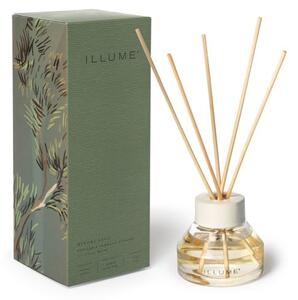 Дифузер Hinoki Sage – ILLUME x Bloomingville