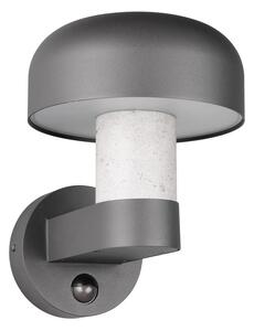 Стенно външно осветително тяло (височина 24,5 cm) Fraser – Trio