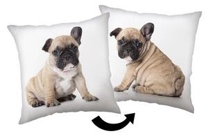 Детска възглавница 40x40 cm Bulldog – Jerry Fabrics