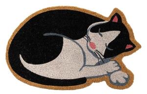 Изтривалка от кокосови влакна 40x60 cm Cat – Casa Selección