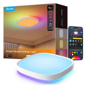Govee - LED RGBIC Димируем плафон LED/24W/230V 2700-6500K Wi-Fi