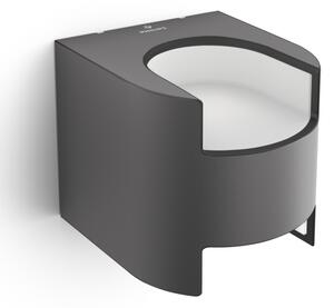 Philips 17321/93/16 - Екстериорен аплик GRASS 2xLED/4,5W/230V IP44