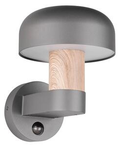 Стенно външно осветително тяло (височина 24,5 cm) Fraser – Trio