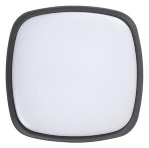 Rabalux 8797 - LED Екстериорна Лампа за таван AUSTIN LED/20W/230V IP65
