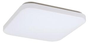 Rabalux 3344 - LED Плафониера ROB LED/32W/230V