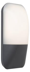 Rabalux 7996 - LED Екстериорна Стенна лампа ECUADOR LED/10W/230V IP65 800lm