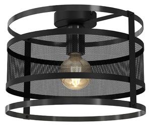 Таванна лампа RIM 1xE27/60W/230V