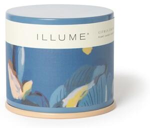 Ароматна свещ с време на горене 50 часа Citrus Crush – ILLUME x Bloomingville
