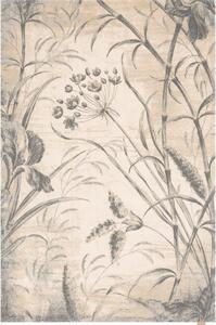 Кремав вълнен килим 300x400 cm Botany – Agnella