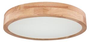 Globo 41745-24 - LED Димируем плафон RAINER LED/24W/230V + д.у