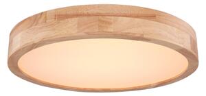 Globo 41745-24 - LED Димируем плафон RAINER LED/24W/230V + д.у