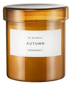 Ароматна свещ от соев восък с време на горене 45 час Valoa Autumn – Blomus