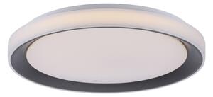 Leuchten Direkt 14659-18 - LED RGB Димируема лампа LOLA LED/24W/230V + д.у