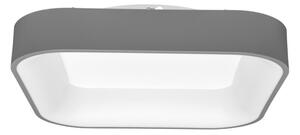 Ecolite WMKL01S-40W/LED-SED - LED димируемо осветително тяло NEST LED/40W/230V
