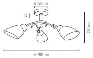 Spot-Light 8141374 - Полилей за повърхностен монтаж VILETTA 3xE27/60W/230V