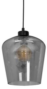 Висящ полилей SANTIAGO 1xE27/60W/230V черен