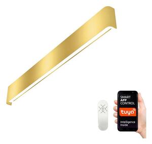 Immax NEO 07137-G - LED SMART Димируема лампа LINEA LED/40W/230V + д.у. 76 см