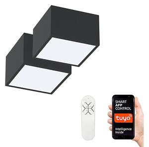 Immax Neo 07074L-15BD-К-кт 2x LED Димируема лампа CANTO 2xLED/12W/230V + д.у