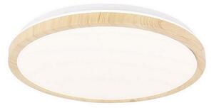 LED Лампа GANDAVA LED/24W/230V